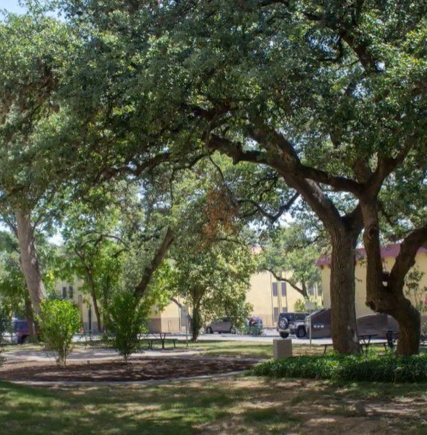 Pathways at North Loop